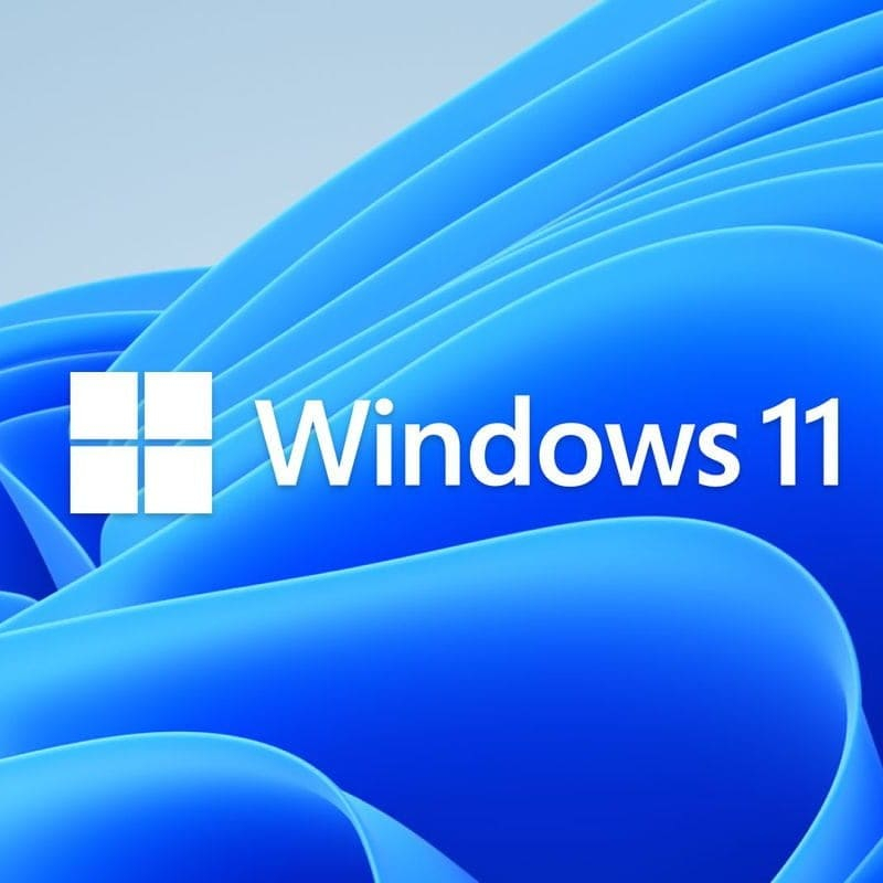 Microsoft Windows 11 Professional  1 PC